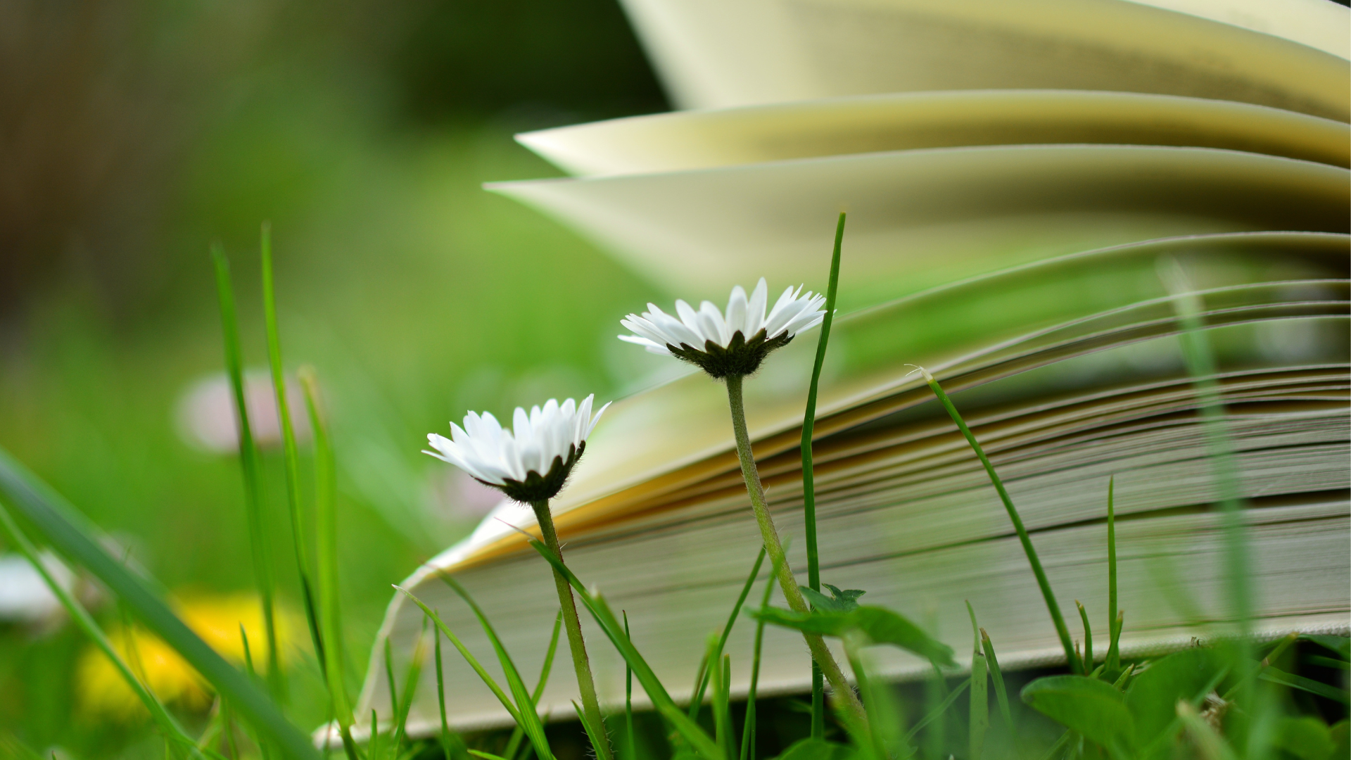 Exhibitors page banner image